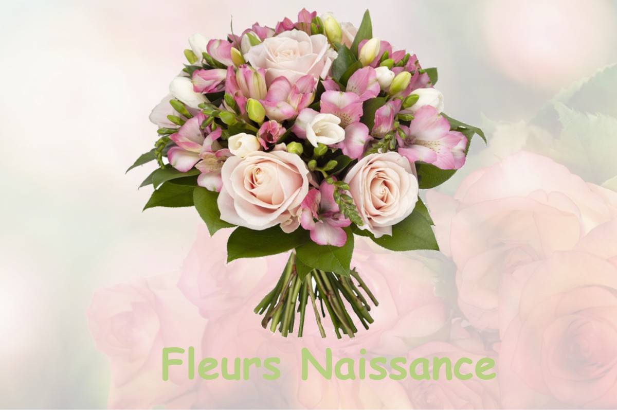 fleurs naissance BERLENCOURT-LE-CAUROY